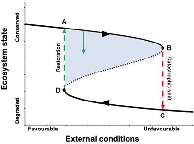 Advances in Understanding and Managing Catastrophic Ecosystem Shifts in Mediterranean Ecosystems